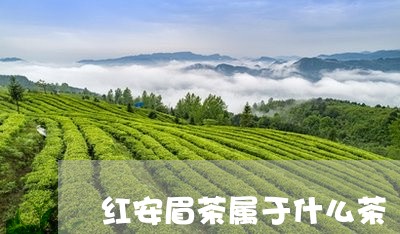 红安眉茶属于什么茶/2023041517281