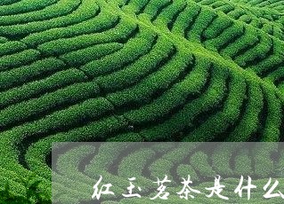 红玉茗茶是什么茶吗/2023031905279