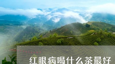 红眼病喝什么茶最好/2023041693047