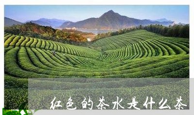 红色的茶水是什么茶/2023031982817