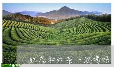 红花和红茶一起喝吗/2023031921149