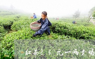 红茶25元一两贵吗/2023041557583