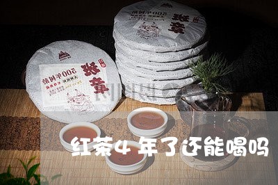 红茶4年了还能喝吗/2023041667393