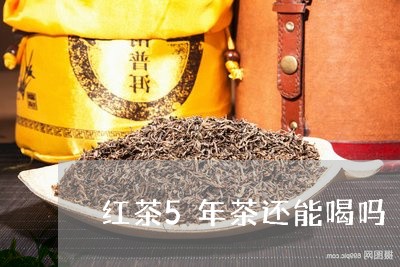 红茶5年茶还能喝吗/2023041615859