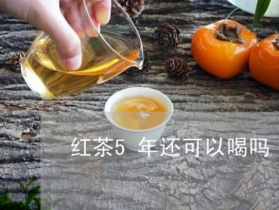 红茶5年还可以喝吗/2023041673828