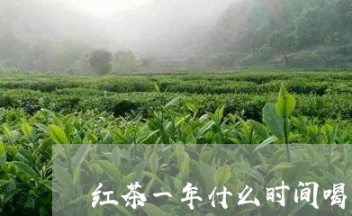 红茶一年什么时间喝/2023041657483