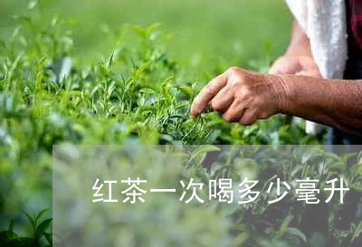 红茶一次喝多少毫升/2023031909474