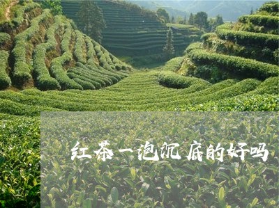 红茶一泡沉底的好吗/2023031934826