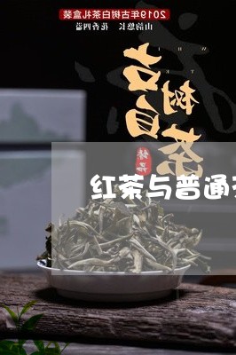 红茶与普通茶的区别/2023032151925