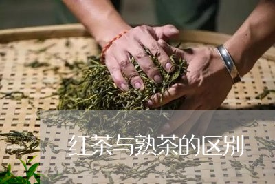 红茶与熟茶的区别/2023031825360