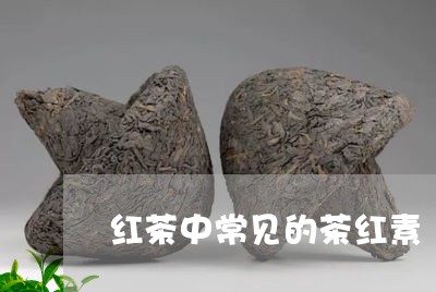 红茶中常见的茶红素/2023041467271