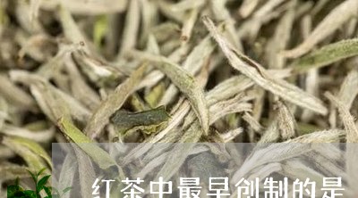 红茶中最早创制的是/2023041470484