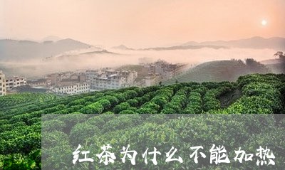 红茶为什么不能加热/2023031848573