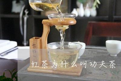 红茶为什么叫功夫茶/2023041548493