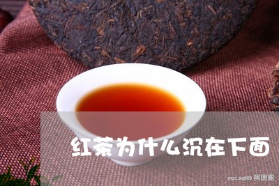 红茶为什么沉在下面/2023041598683