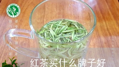 红茶买什么牌子好/2023031886270