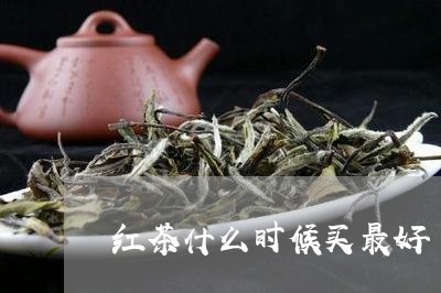 红茶什么时候买最好/2023031844169