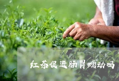 红茶促进肠胃蠕动吗/2023041459480