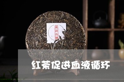 红茶促进血液循环/2023032365369