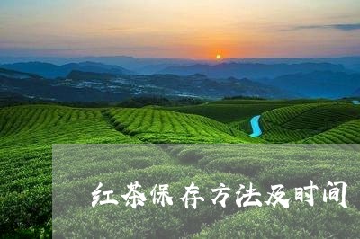 红茶保存方法及时间/2023041419392