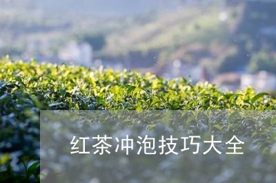 红茶冲泡技巧大全/2023032404151