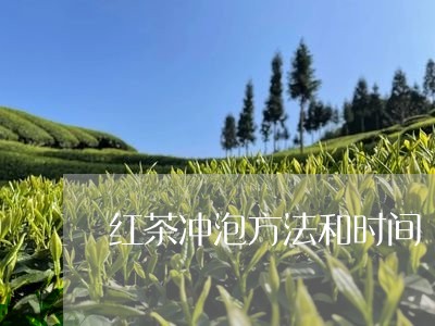 红茶冲泡方法和时间/2023041412048