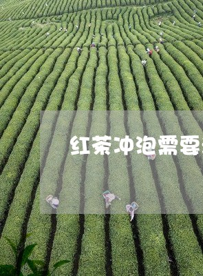 红茶冲泡需要洗茶吗/2023041597360