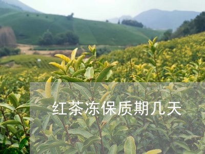 红茶冻保质期几天/2023032455826