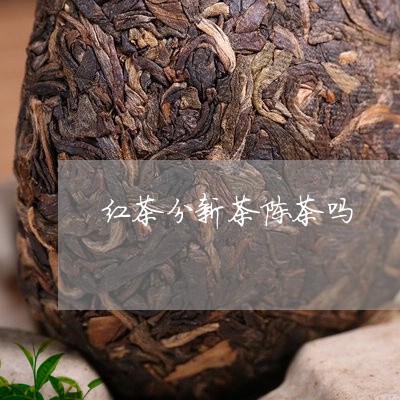 红茶分新茶陈茶吗/2023032451803