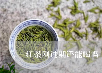 红茶刚过期还能喝吗/2023041595929