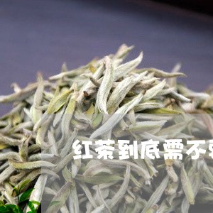 红茶到底需不要冷藏/2023041514939