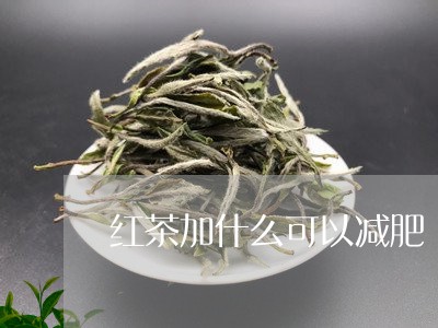 红茶加什么可以减肥/2023031847393