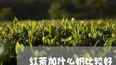 红茶加什么奶比较好/2023031862916