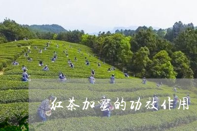 红茶加蜜的功效作用/2023041526240