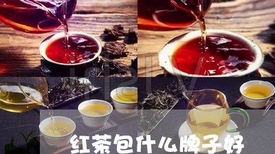 红茶包什么牌子好/2023032367147