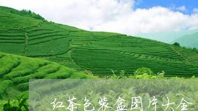 红茶包装盒图片大全/2023041402726