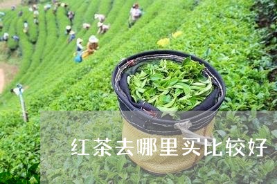 红茶去哪里买比较好/2023041463150