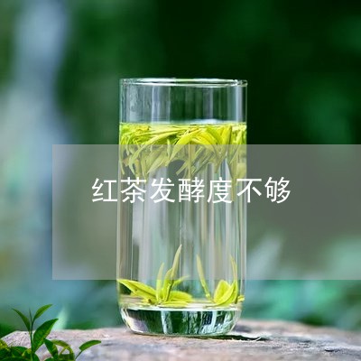 红茶发酵度不够/2023032344926