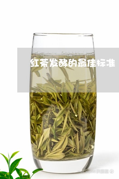 红茶发酵的最佳标准/2023041558603