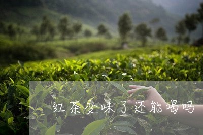 红茶变味了还能喝吗/2023041502935