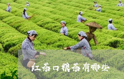 红茶口粮茶有哪些/2023032296947