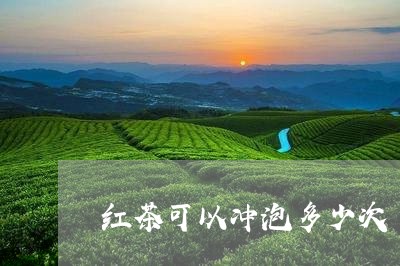 红茶可以冲泡多少次/2023041568282