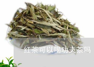 红茶可以喝功夫茶吗/2023041501727