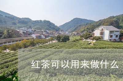 红茶可以用来做什么/2023041592759