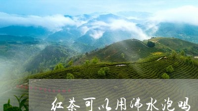 红茶可以用沸水泡吗/2023031843034