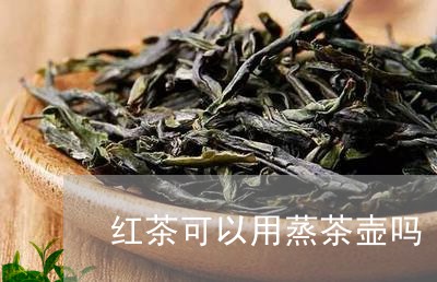 红茶可以用蒸茶壶吗/2023041557459