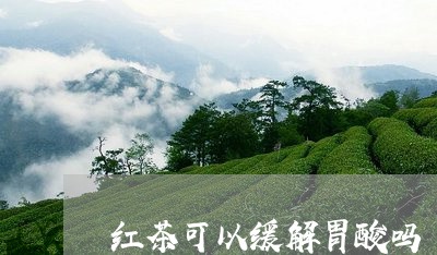 红茶可以缓解胃酸吗/2023031955360