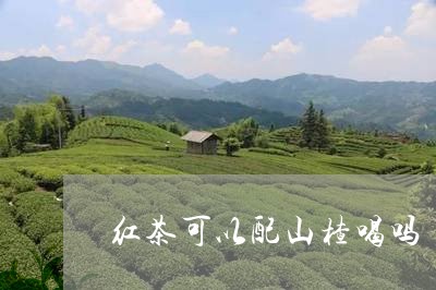 红茶可以配山楂喝吗/2023041548583