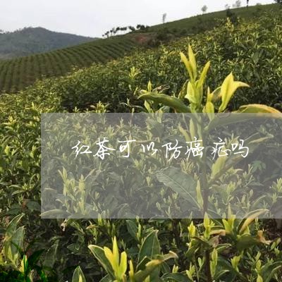 红茶可以防癌症吗/2023032368684