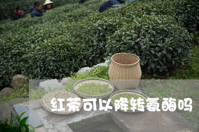 红茶可以降转氨酶吗/2023041582507